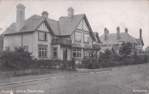 Albert Drive